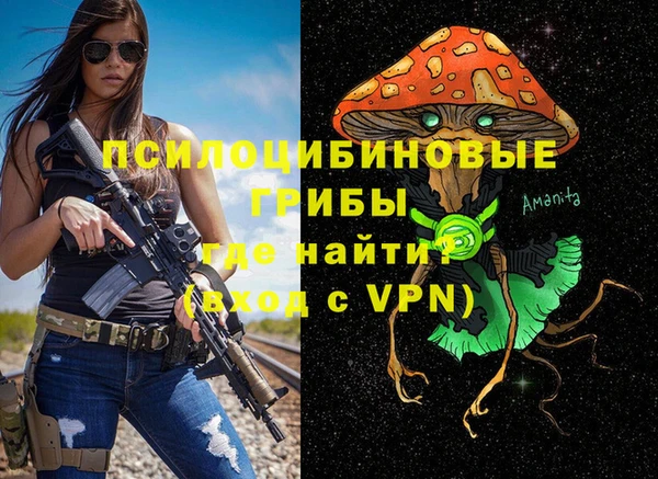 прущая мука Богородицк