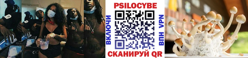 где можно купить   Шали  Псилоцибиновые грибы MAGIC MUSHROOMS 