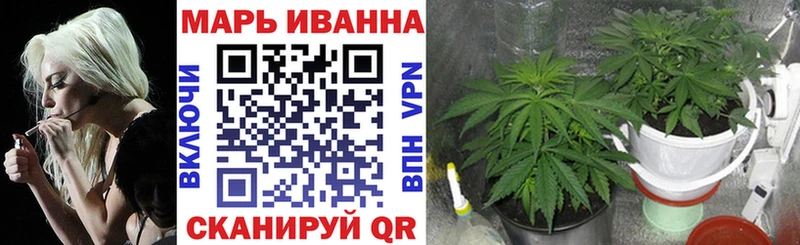 Каннабис гибрид Шали