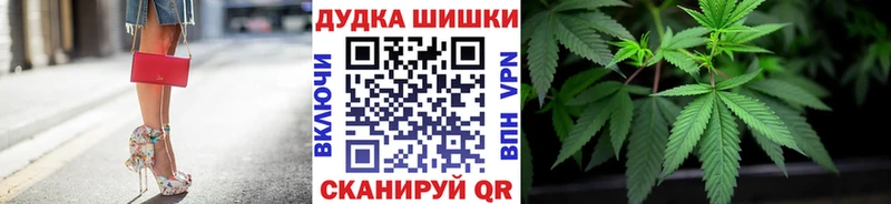 где купить наркоту  Шали  Каннабис индика 